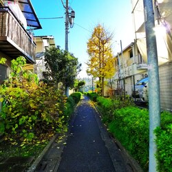 イデア新小岩の物件外観写真